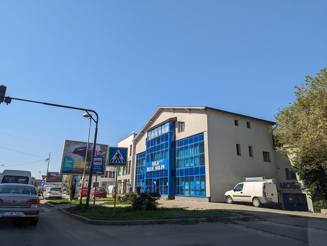 vila blue salin turda