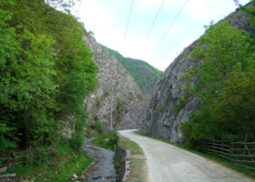 Cheile Runcului