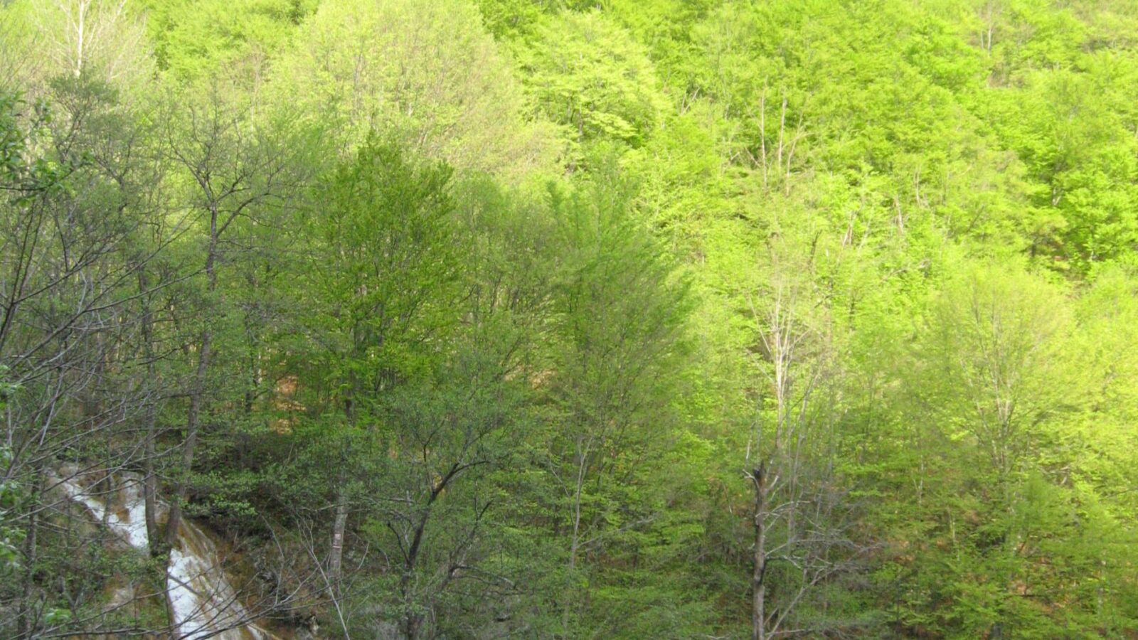 Cascada Șipote
